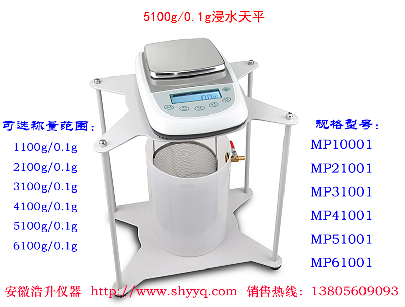 5100g/0.1gˮƽ